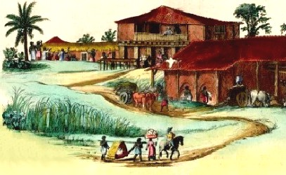 Dutch Sugar Plantation